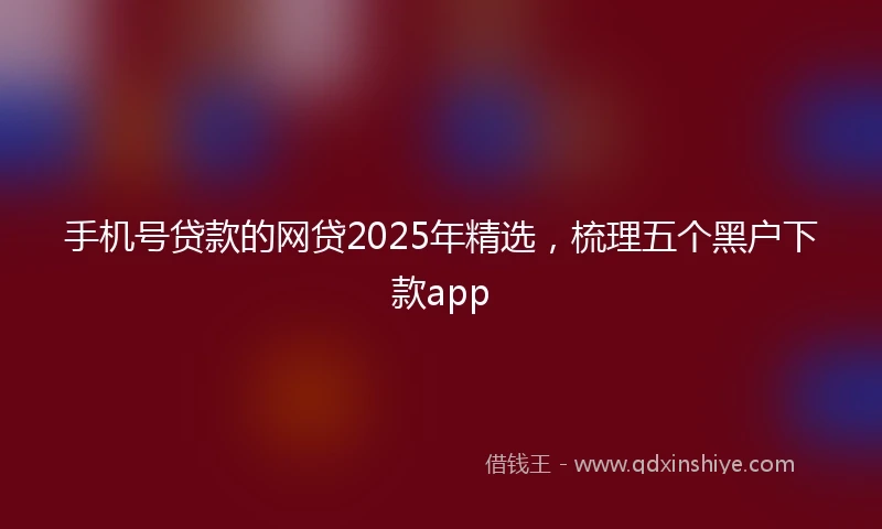 手机号贷款的网贷2025年精选，梳理五个黑户下款app