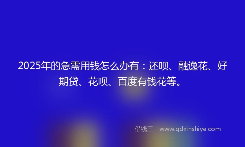 2025年的急需用钱怎么办有：还呗、融逸花、好期贷、花呗、百度有钱花等。