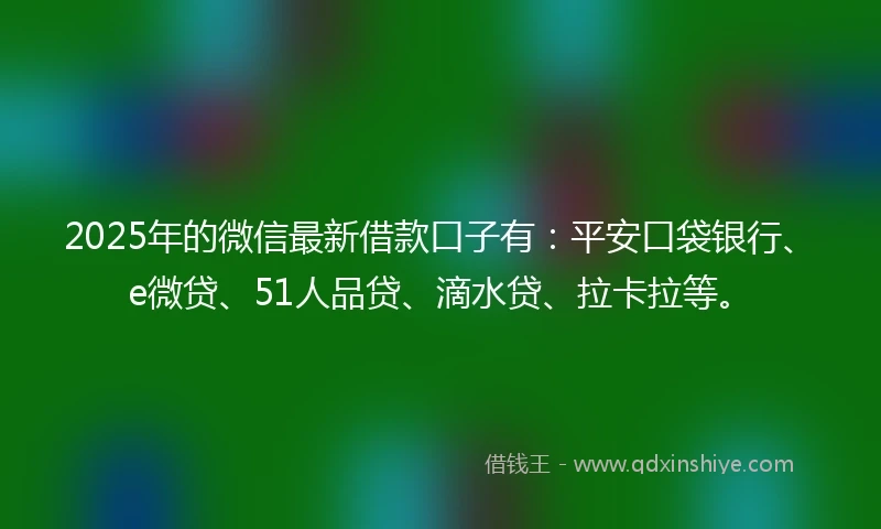 2025年的微信最新借款口子有：平安口袋银行、e微贷、51人品贷、滴水贷、拉卡拉等。