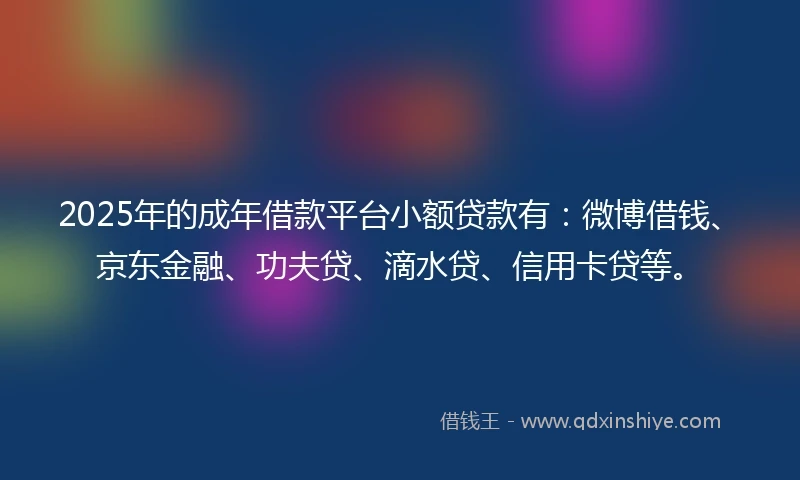 2025年的成年借款平台小额贷款有：微博借钱、京东金融、功夫贷、滴水贷、信用卡贷等。