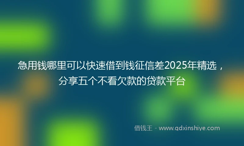 急用钱哪里可以快速借到钱征信差2025年精选，分享五个不看欠款的贷款平台