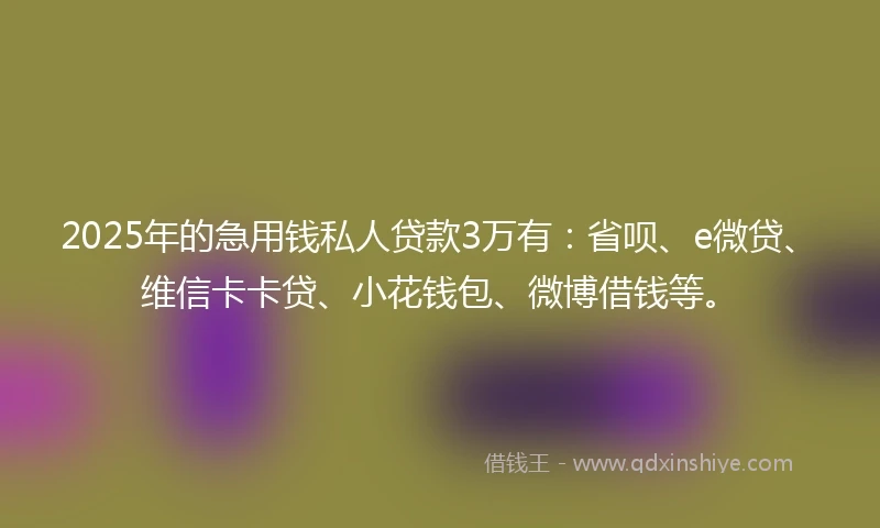 2025年的急用钱私人贷款3万有：省呗、e微贷、维信卡卡贷、小花钱包、微博借钱等。
