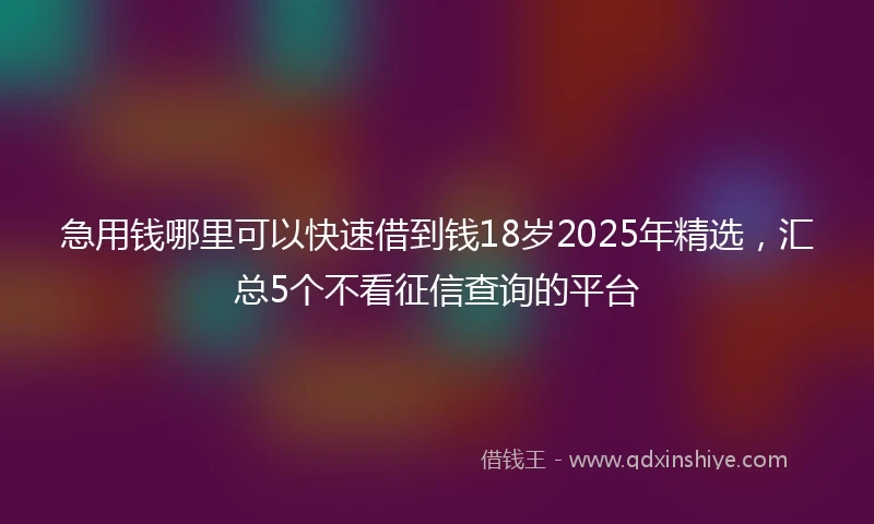 急用钱哪里可以快速借到钱18岁2025年精选，汇总5个不看征信查询的平台