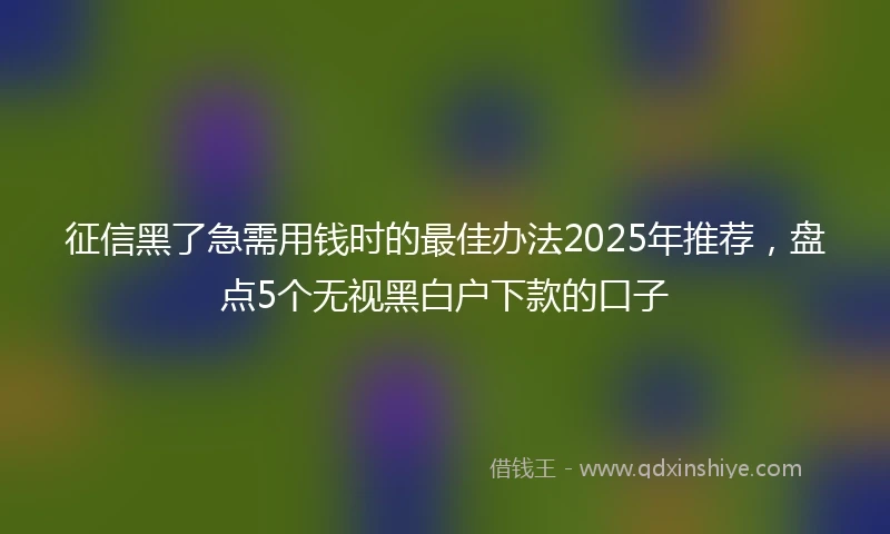征信黑了急需用钱时的最佳办法2025年推荐，盘点5个无视黑白户下款的口子