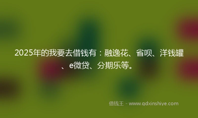 2025年的我要去借钱有：融逸花、省呗、洋钱罐、e微贷、分期乐等。