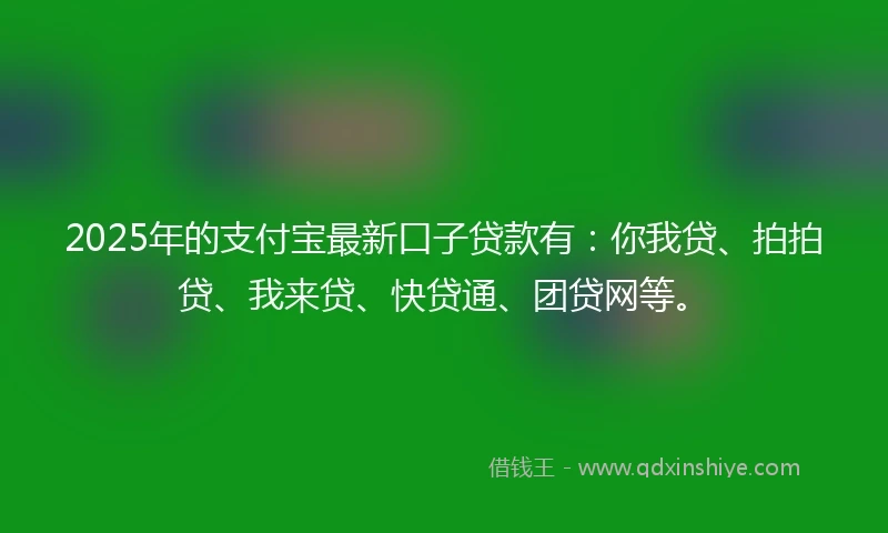 2025年的支付宝最新口子贷款有：你我贷、拍拍贷、我来贷、快贷通、团贷网等。