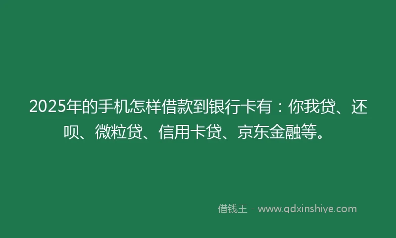 2025年的手机怎样借款到银行卡有：你我贷、还呗、微粒贷、信用卡贷、京东金融等。