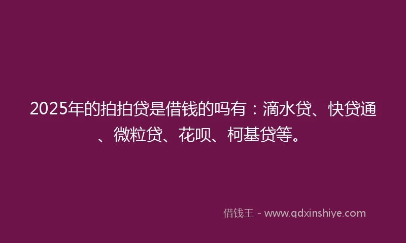 2025年的拍拍贷是借钱的吗有：滴水贷、快贷通、微粒贷、花呗、柯基贷等。
