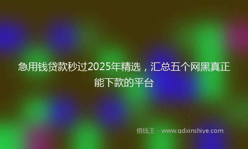 急用钱贷款秒过2025年精选，汇总五个网黑真正能下款的平台