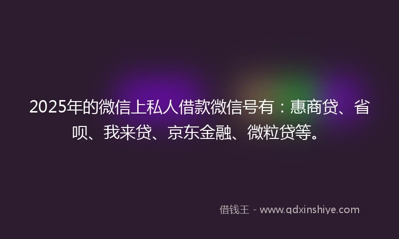 2025年的微信上私人借款微信号有：惠商贷、省呗、我来贷、京东金融、微粒贷等。