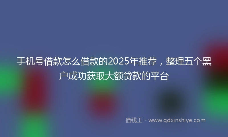 手机号借款怎么借款的2025年推荐，整理五个黑户成功获取大额贷款的平台