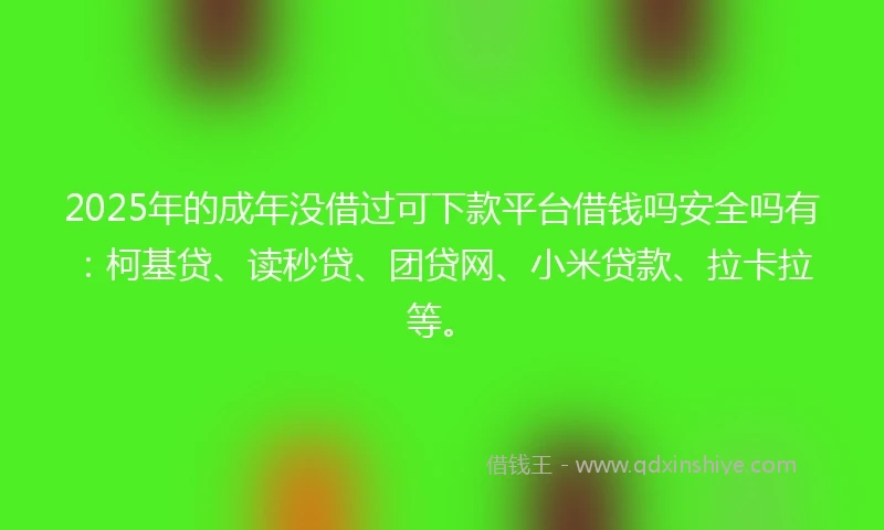 2025年的成年没借过可下款平台借钱吗安全吗有：柯基贷、读秒贷、团贷网、小米贷款、拉卡拉等。