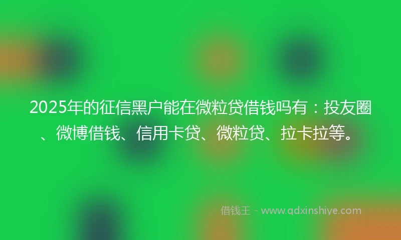 2025年的征信黑户能在微粒贷借钱吗有：投友圈、微博借钱、信用卡贷、微粒贷、拉卡拉等。