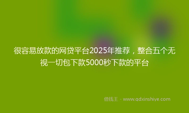 很容易放款的网贷平台2025年推荐，整合五个无视一切包下款5000秒下款的平台