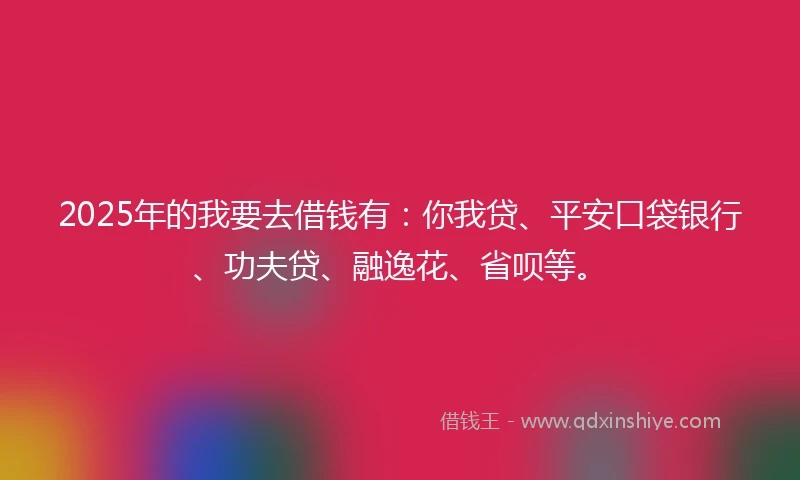 2025年的我要去借钱有：你我贷、平安口袋银行、功夫贷、融逸花、省呗等。
