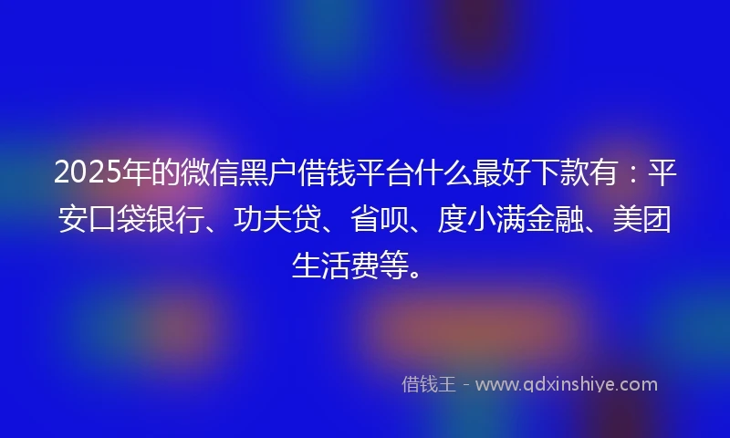 2025年的微信黑户借钱平台什么最好下款有：平安口袋银行、功夫贷、省呗、度小满金融、美团生活费等。