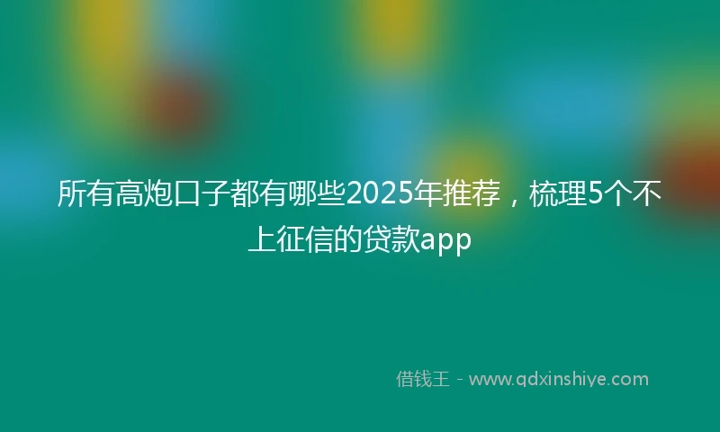 所有高炮口子都有哪些2025年推荐,梳理5个不上征信的贷款app