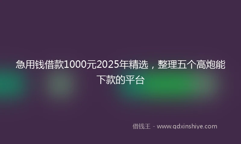 急用钱借款1000元2025年精选，整理五个高炮能下款的平台