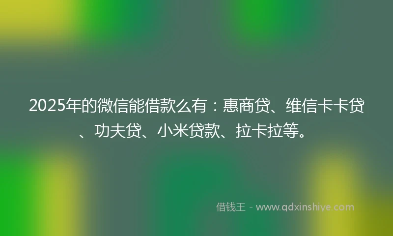 2025年的微信能借款么有：惠商贷、维信卡卡贷、功夫贷、小米贷款、拉卡拉等。