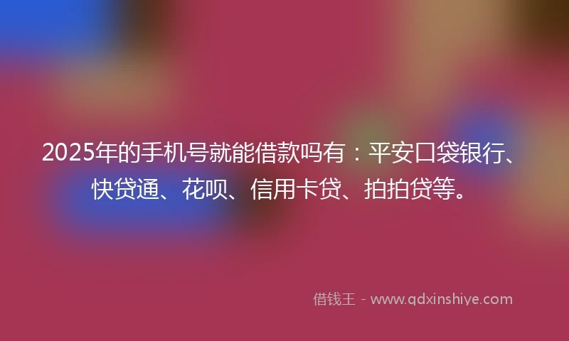 2025年的手机号就能借款吗有：平安口袋银行、快贷通、花呗、信用卡贷、拍拍贷等。