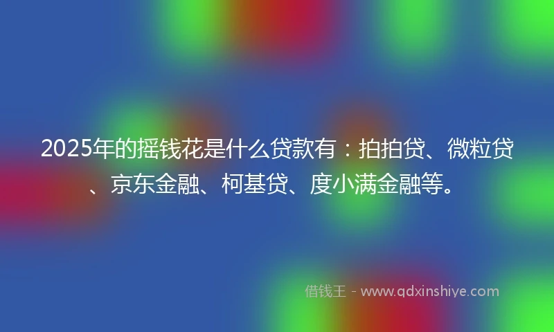 2025年的摇钱花是什么贷款有：拍拍贷、微粒贷、京东金融、柯基贷、度小满金融等。