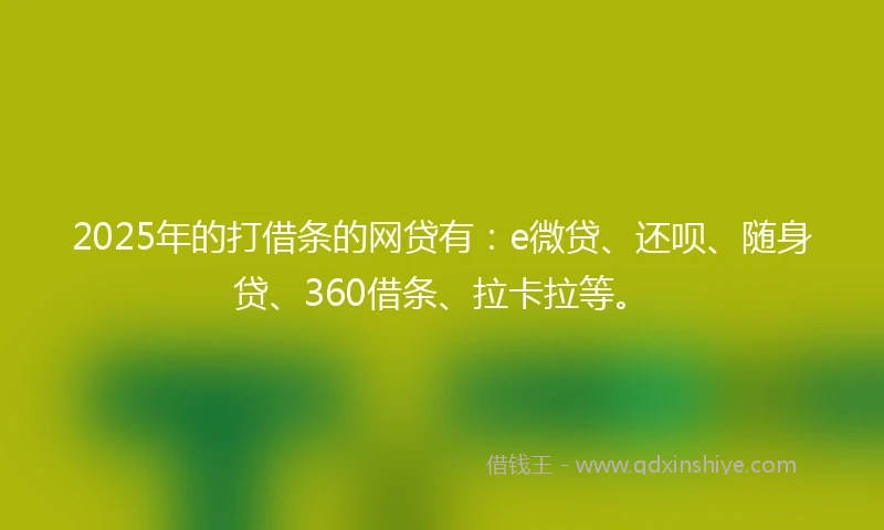 2025年的打借条的网贷有：e微贷、还呗、随身贷、360借条、拉卡拉等。