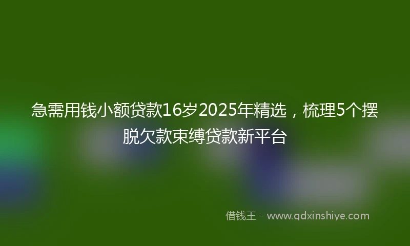 急需用钱小额贷款16岁2025年精选，梳理5个摆脱欠款束缚贷款新平台