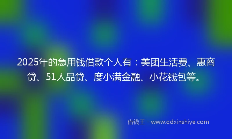 2025年的急用钱借款个人有：美团生活费、惠商贷、51人品贷、度小满金融、小花钱包等。