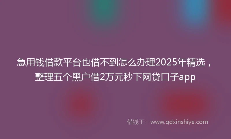 急用钱借款平台也借不到怎么办理2025年精选，整理五个黑户借2万元秒下网贷口子app