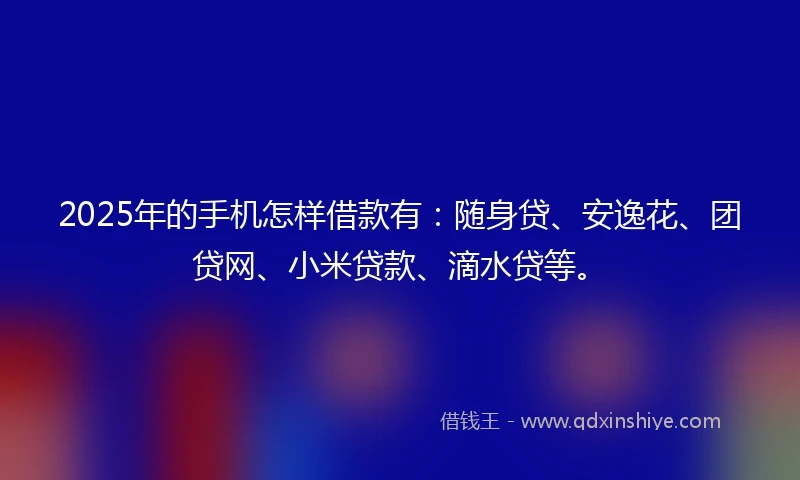 2025年的手机怎样借款有：随身贷、安逸花、团贷网、小米贷款、滴水贷等。