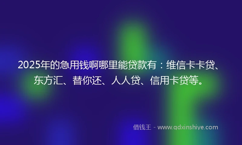 2025年的急用钱啊哪里能贷款有：维信卡卡贷、东方汇、替你还、人人贷、信用卡贷等。