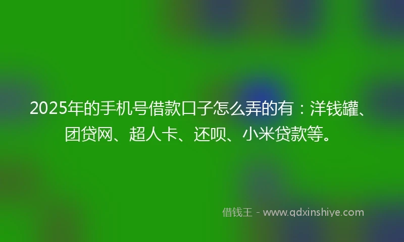 2025年的手机号借款口子怎么弄的有：洋钱罐、团贷网、超人卡、还呗、小米贷款等。