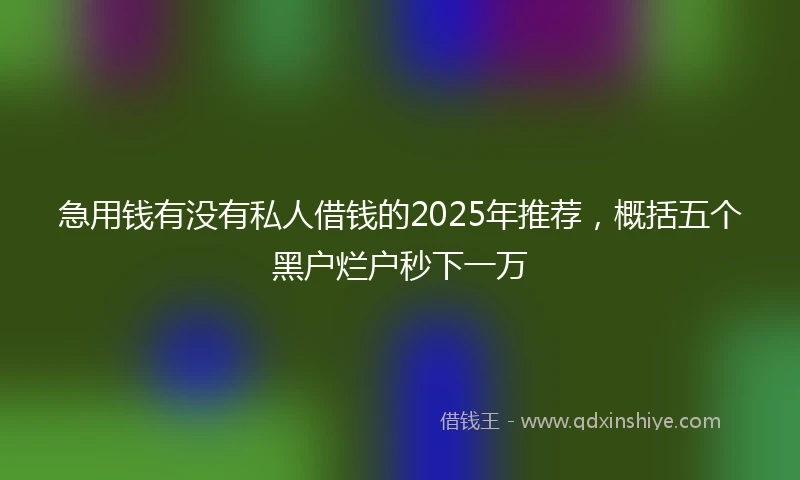 急用钱有没有私人借钱的2025年推荐，概括五个黑户烂户秒下一万