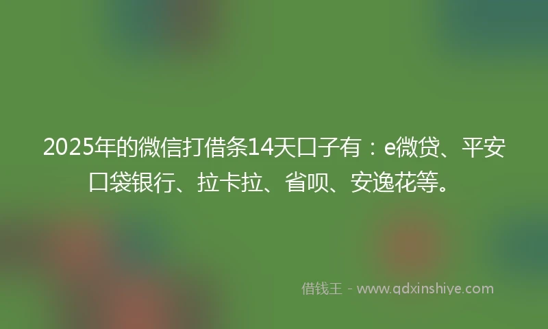 2025年的微信打借条14天口子有：e微贷、平安口袋银行、拉卡拉、省呗、安逸花等。