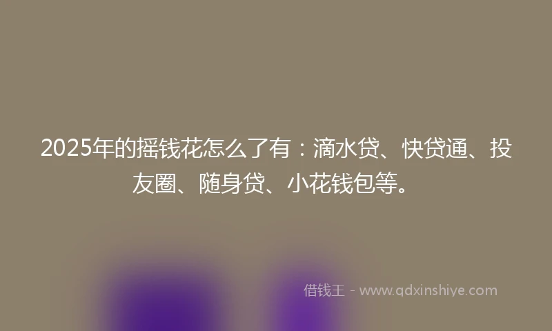 2025年的摇钱花怎么了有：滴水贷、快贷通、投友圈、随身贷、小花钱包等。