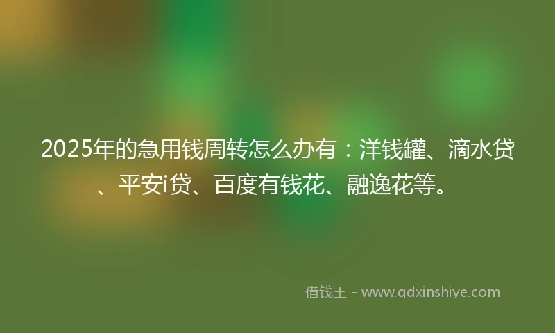 2025年的急用钱周转怎么办有：洋钱罐、滴水贷、平安i贷、百度有钱花、融逸花等。