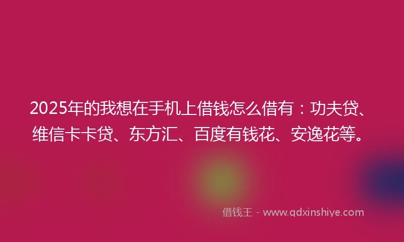 2025年的我想在手机上借钱怎么借有：功夫贷、维信卡卡贷、东方汇、百度有钱花、安逸花等。