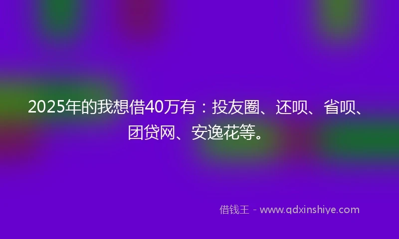 2025年的我想借40万有：投友圈、还呗、省呗、团贷网、安逸花等。