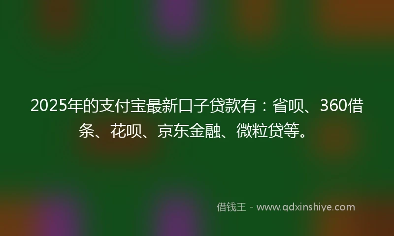 2025年的支付宝最新口子贷款有：省呗、360借条、花呗、京东金融、微粒贷等。