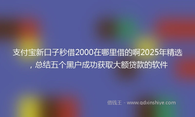 支付宝新口子秒借2000在哪里借的啊2025年精选，总结五个黑户成功获取大额贷款的软件