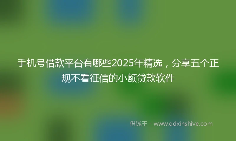 手机号借款平台有哪些2025年精选，分享五个正规不看征信的小额贷款软件