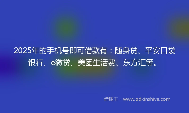 2025年的手机号即可借款有：随身贷、平安口袋银行、e微贷、美团生活费、东方汇等。