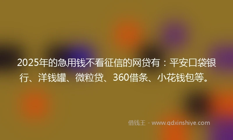 2025年的急用钱不看征信的网贷有：平安口袋银行、洋钱罐、微粒贷、360借条、小花钱包等。