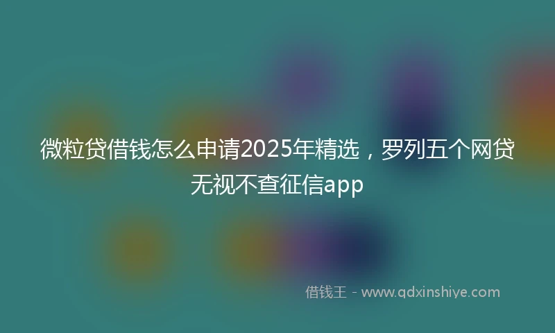 微粒贷借钱怎么申请2025年精选，罗列五个网贷无视不查征信app