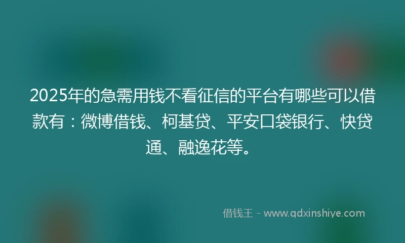 2025年的急需用钱不看征信的平台有哪些可以借款有：微博借钱、柯基贷、平安口袋银行、快贷通、融逸花等。