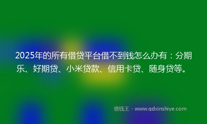 2025年的所有借贷平台借不到钱怎么办有：分期乐、好期贷、小米贷款、信用卡贷、随身贷等。