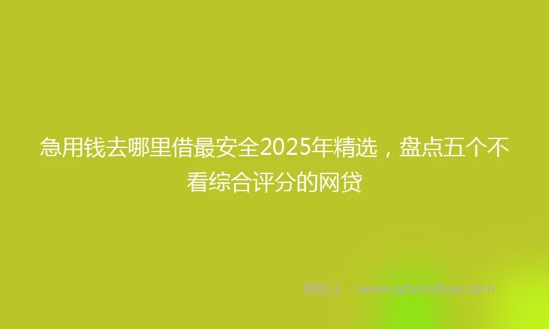 急用钱去哪里借最安全2025年精选，盘点五个不看综合评分的网贷