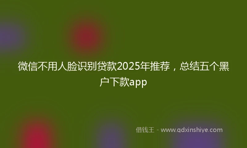 微信不用人脸识别贷款2025年推荐，总结五个黑户下款app