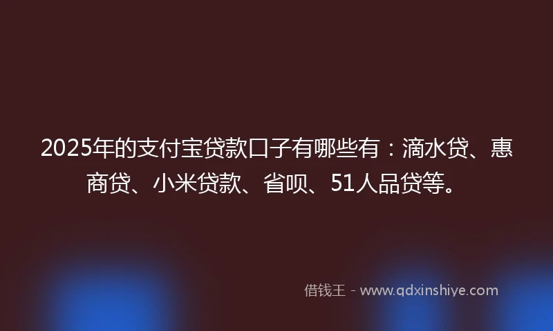 2025年的支付宝贷款口子有哪些有：滴水贷、惠商贷、小米贷款、省呗、51人品贷等。
