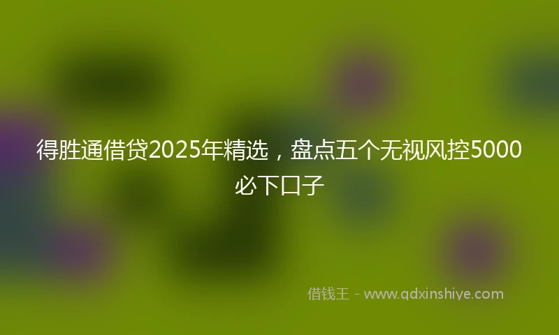 得胜通借贷2025年精选,盘点五个无视风控5000必下口子
